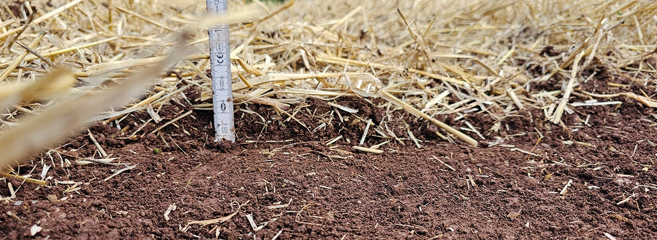 innoMADE Messerwalze MW1250 - Strohstriegel