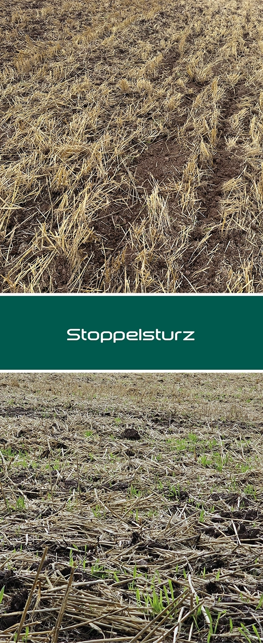 Maisstroh innoMADE Messerwalze