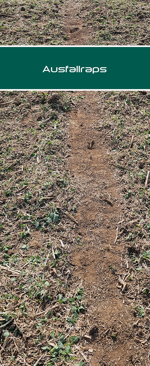 Silomais innoMADE Messerwalze